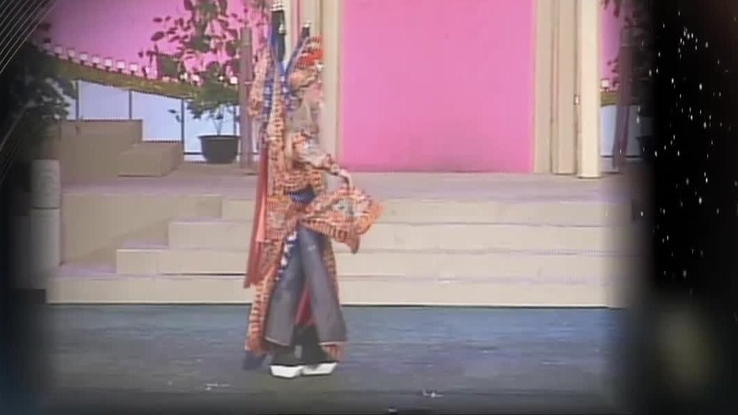 京剧《定军山》1993年演出资料,谭元寿饰黄忠(央视《典藏》栏目播出画面,已按像素测边界裁去台标、栏目标题与栏目包装带)