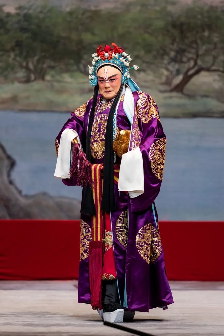 京剧《状元媒》胡滨饰傅丁奎