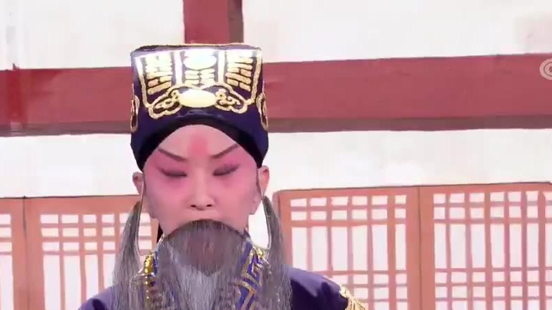 京剧《空城计》选段演出照：紫蟒白髯、戴侯帽的一角近景（2020年中央广播电视总台春节联欢晚会）